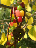 Autumn Awesomeness Bracelet-Handmade Jewelry, Bracelet-KicKassiesKreations-~KicKassie's Kreations~ Nature Inspired Jewelry Designs and Leather