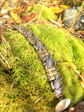 Get Out of Your Shell!-Handmade Jewelry, Bracelet-KicKassiesKreations-~KicKassie's Kreations~ Nature Inspired Jewelry Designs and Leather